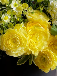 Ranunculus Friandine Lemon